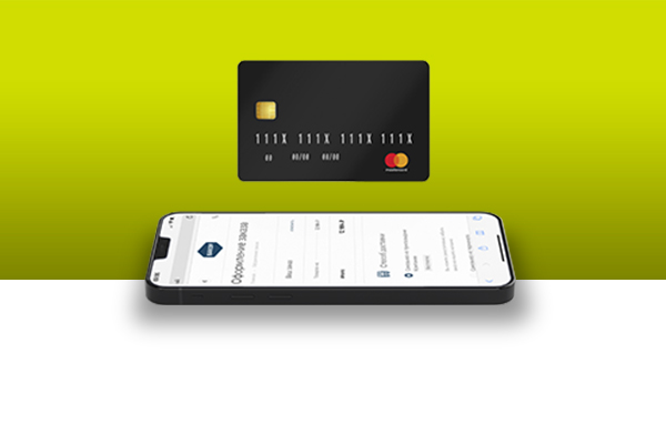 Варианты оплаты товаров на сайте Варианты оплаты товаров на сайте